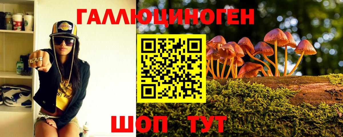 Псилоцибиновые грибы Cubensis  Вход с VPN  Вольск 